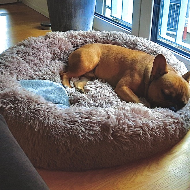 Hundebett Wolke 7 - Das Original