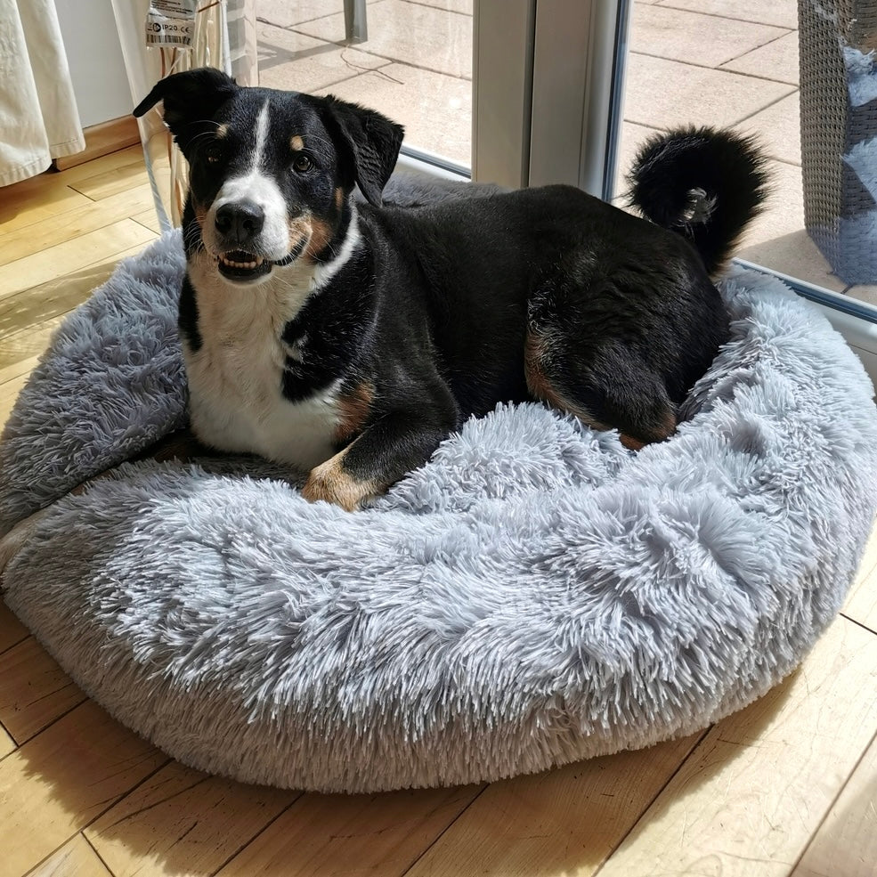 Hundebett Wolke 7 - Das Original