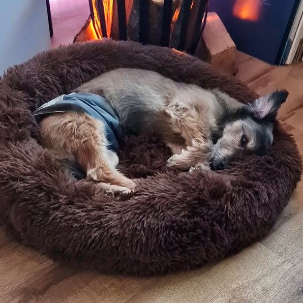 Hundebett Wolke 7 - Das Original