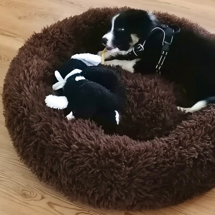 Hundebett Wolke 7 - Das Original