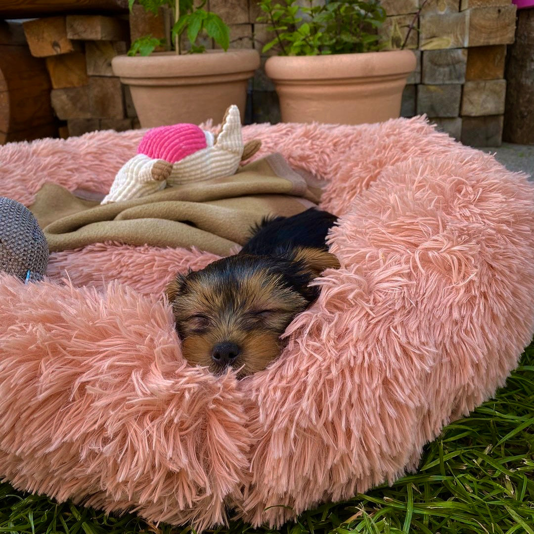 Hundebett Wolke 7 - Das Original