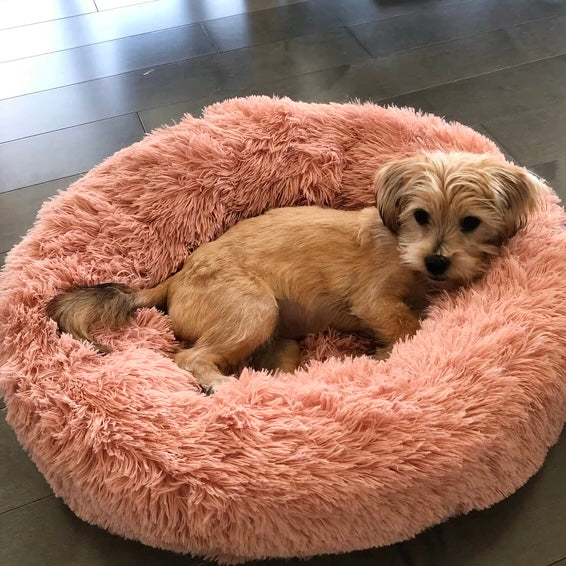 Hundebett Wolke 7 - Das Original